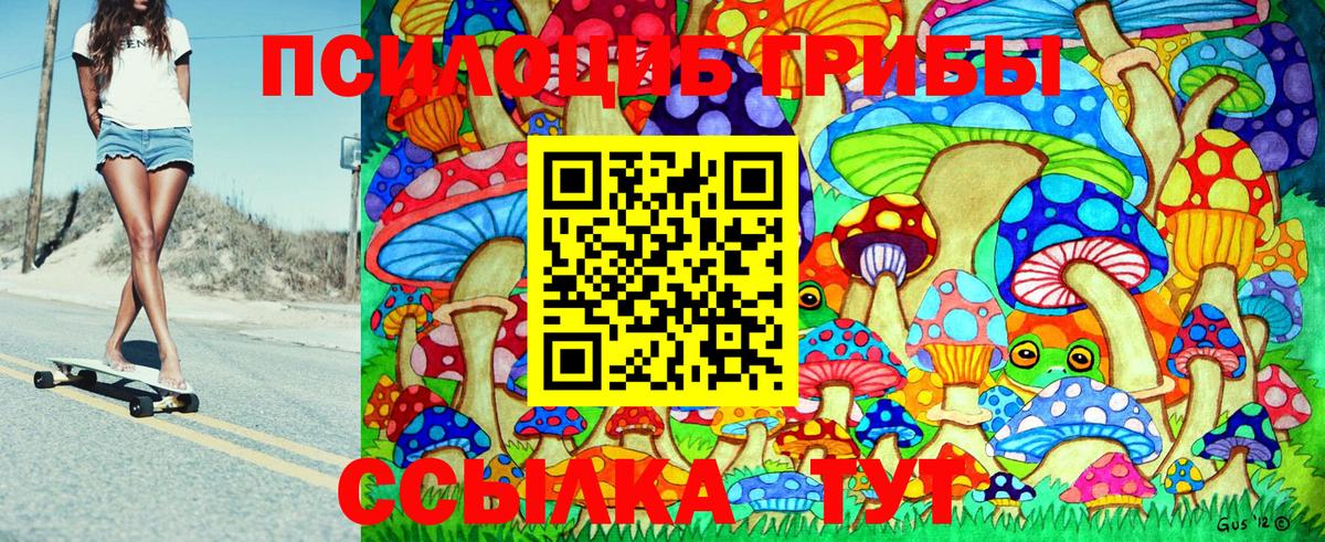 Псилоцибиновые грибы Psilocybe Камень-на-Оби