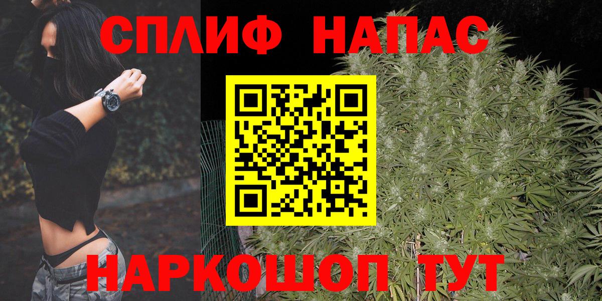 Конопля AK-47  Вход с VPN  Каннабис MAZAR  Бошки Шишки планчик  Бошки Шишки тримм  Камень-на-Оби 
